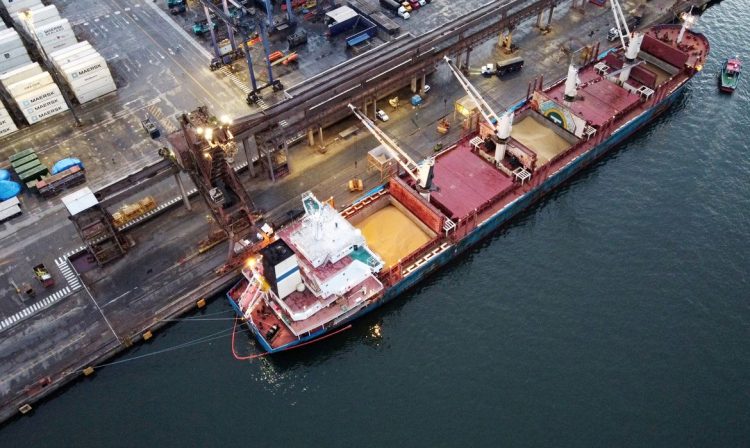 Bulk Carrier 'Discoverer' descarrega soja dos EUA no porto de Paranaguá