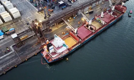 Bulk Carrier 'Discoverer' unloads U.S. soybeans at the port of Paranagua, Brazil, December 3, 2020. Picture taken December 3, 2020. Picture taken with a drone. REUTERS/Rodolfo Buhrer