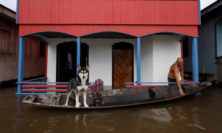 Cheio do Rio Amazonas/Cidades inundadas no estado do Amazonas