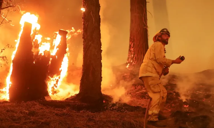 Bombeiro combate chamas do incêndio Dixie na Califórnia