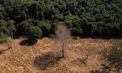 Desmatamento na fronteira entre o Cerrado e a Amazônia no Mato Grosso