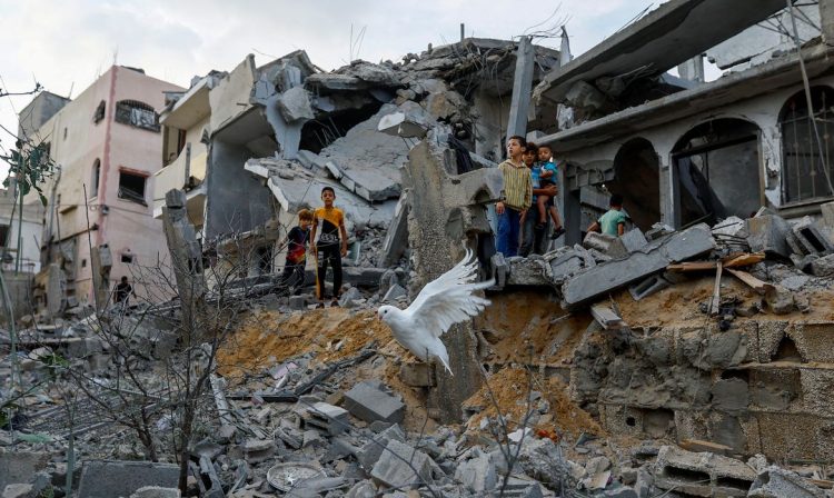 Ataques de Israel a Gaza-Um pombo sobrevoa os escombros de casas destruídas por ataques israelenses, em Khan Younis, no sul da Faixa de Gaza. 11 de outubro de 2023. REUTERS/Ibraheem Abu Mustafa