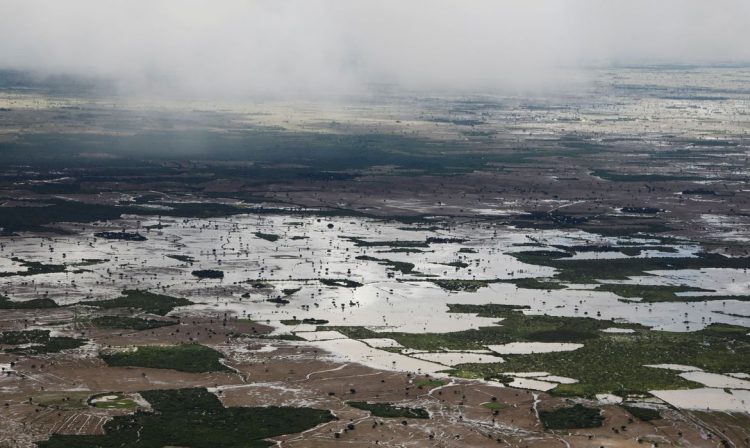 Vista aérea mostra campos inundados após fortes chuvas em Baidoa, Somália.
16/11/2023
REUTERS/Feisal Omar/Foto de arquivo