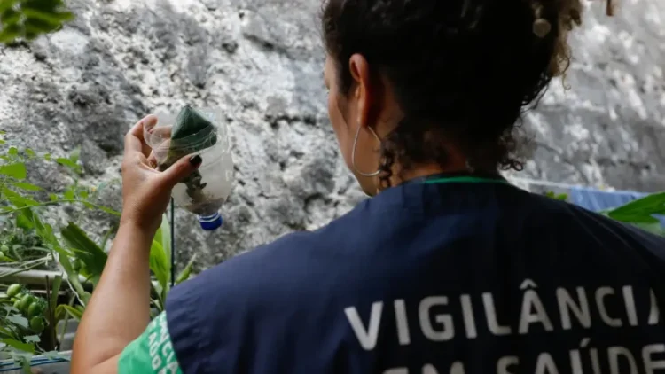 A publicação autoriza o governador de Minas Gerais, Romeu Zema, a tomar medidas administrativas para conter casos de arboviroses / Foto: Agência Brasil