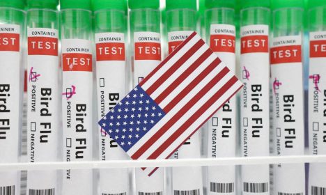 Tubos de ensaio rotulados como de teste para gripe aviária atrás de bandeira dos Estados Unidos em foto de ilustração
14/01/2023 REUTERS/Dado Ruvic