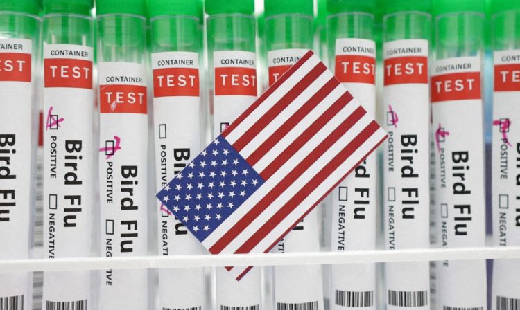 Tubos de ensaio rotulados como de teste para gripe aviária atrás de bandeira dos Estados Unidos em foto de ilustração
14/01/2023 REUTERS/Dado Ruvic