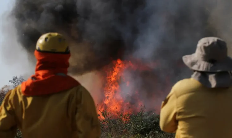 Bombeiros observam incêndio no departamento de Santa Cruz, na Bolívia
24/07/2024
Reuters/Jorge Parada/Proibida reprodução