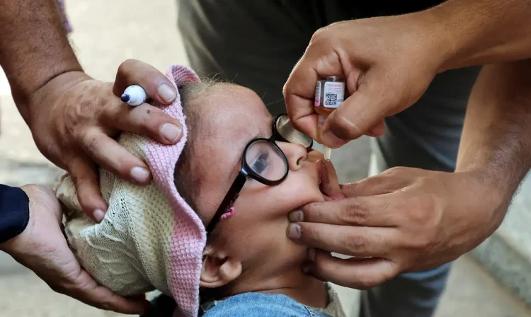 Criança palestina é vacinada contra pólio em Deir Al-Balah, centro de Gaza
 4/9/2024  Reuters/Ramadan Abed/Proibida reprodução