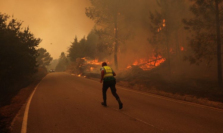 Policial corre em rua cercada por incêndio florestal em São Pedro do Sul, em Portugal
18/09/2024
Reuters/Pedro Nunes/Proibida reprodução