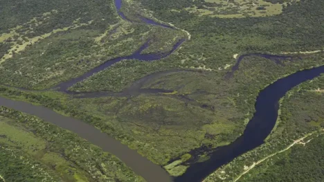 Maior parte da Mata Atlântica tem menos de 30% de vegetação nativa - Foto: Thomas Bauer/ SOS Mata Atlântica