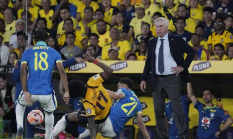 brasil, equador, eliminatórias