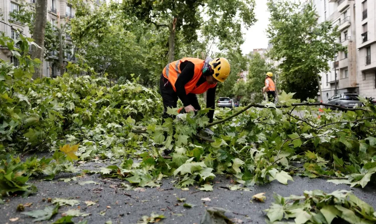 Workers remove broken tree branches in a street the day after a heavy storm hit Paris, France, June 26, 2025. REUTERS/Benoit Tessier