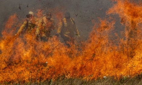 RETROSPECTIVA_2023 - Incêndios castigam o Pantanal. - Foto: Joédson Alves/Agência Brasil