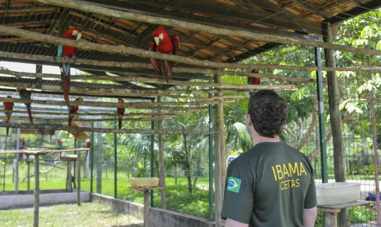 Ibama apura maus-tratos em centro de triagem de animais silvestres