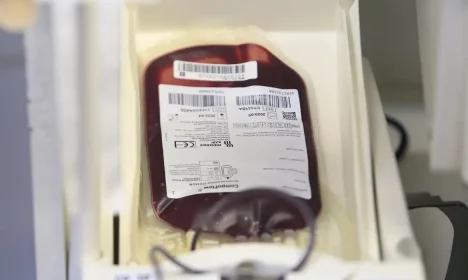 Pessoas participam de campanha de doação de sangue.