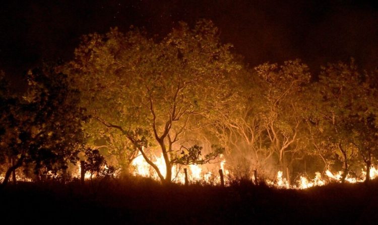 20-02-2024 Queimadas e incêndios em Amajari – Roraima - Foto Jader Souza/AL Roraima