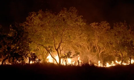 20-02-2024 Queimadas e incêndios em Amajari – Roraima - Foto Jader Souza/AL Roraima