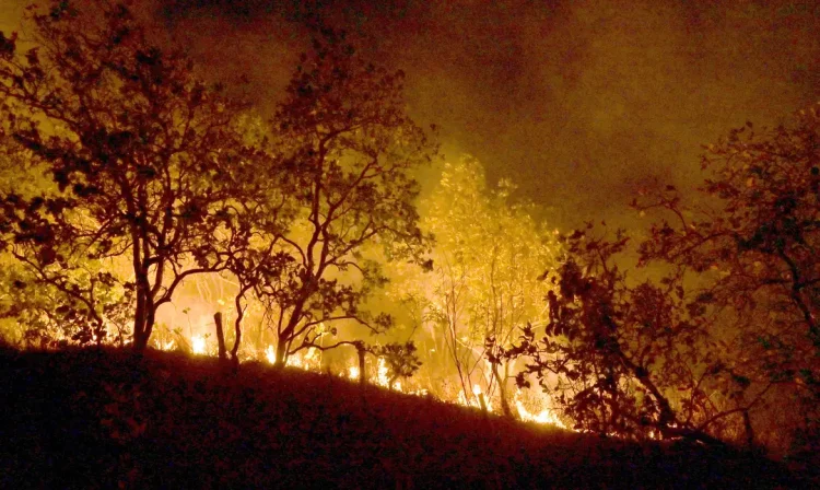 20-02-2024 Queimadas e incêndios em Amajari – Roraima - Foto Jader Souza/AL Roraima