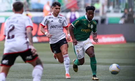 palmeiras, flamengo, brasileiro