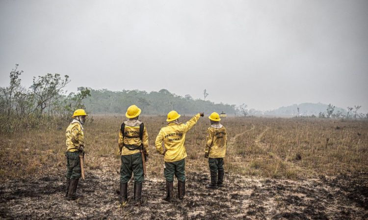 Brasília (DF) 12/09/2024 - Brigadistas do Prevfogo/Ibama e ICMBio combatem incêndios florestais na Terra Indígena Tenharim/Marmelos, no Amazonas
Foto: Mayangdi Inzaulgarat/Ibama