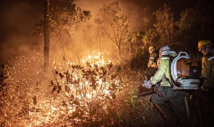 Brasília (DF) 12/09/2024 - Brigadistas do Prevfogo/Ibama e ICMBio combatem incêndios florestais na Terra Indígena Tenharim/Marmelos, no Amazonas
Foto: Mayangdi Inzaulgarat/Ibama