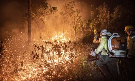 Brasília (DF) 12/09/2024 - Brigadistas do Prevfogo/Ibama e ICMBio combatem incêndios florestais na Terra Indígena Tenharim/Marmelos, no Amazonas
Foto: Mayangdi Inzaulgarat/Ibama