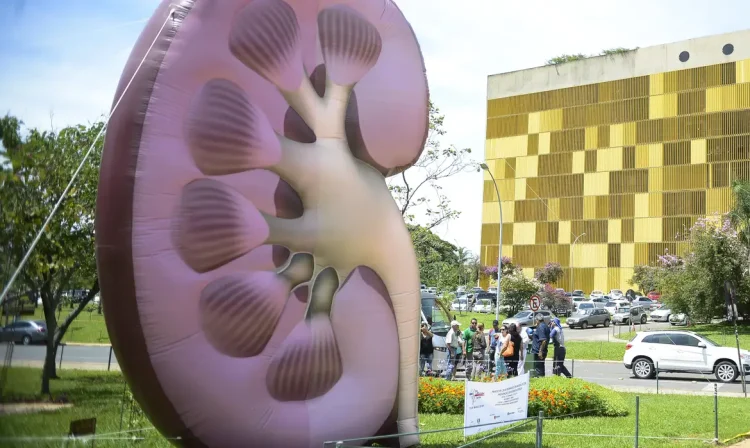 Brasília - No Dia Mundial do Rim, entidades da área de saúde promovem campanhas de esclarecimento sobre formas de prevenção de doenças renais (Marcelo Camargo/Agência Brasil)