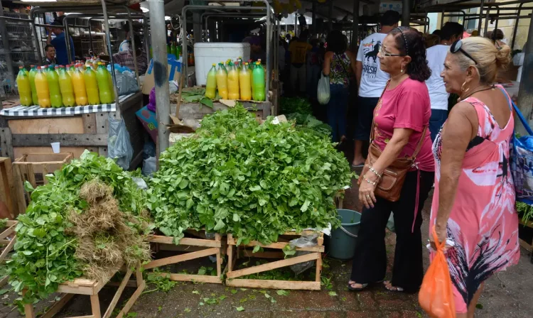 Belém - Cartão-postal da cidade, o mercado Ver-o-Peso oferece os mais variados sabores e aromas do Pará. A imensa feira livre às margens da baía do Guajará reúne centenas de barracas(Wilson Dias/Agência Brasil)