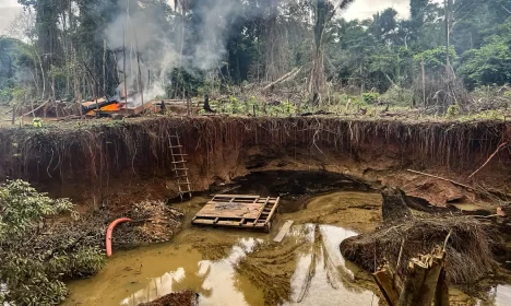 PF e ICMBio desativam garimpos ilegais que ameaçavam linhas de transmissão de energia no Pará. Foto: Polícia Federal/Divulgação