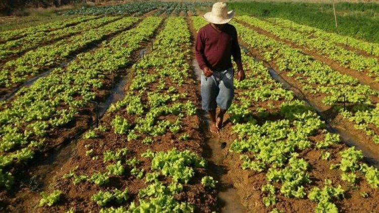 agricultura familiar 1024x643 1