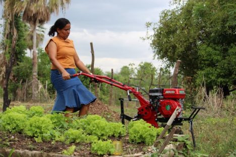 AGRICULTURA FAMILIAR BLOG