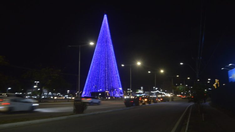 Árvore de Mirassol, na Zona Sul de Natal. Foto: José Aldenir/Agora RN.