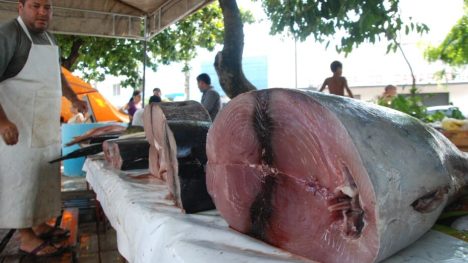 Semana Santa é bom período de vendas, mas não vai recuperar prejuízos. Foto: José Aldenir / Agora RN