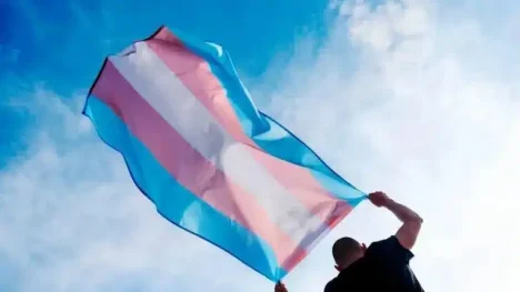 bandeira trans