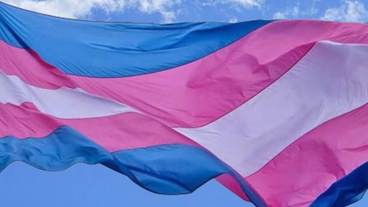 bandeira trans