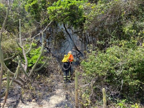 BOMBEIROS DUNAS IN 750