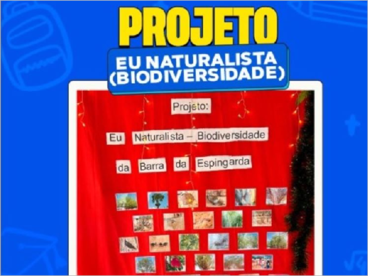 O trabalho foi apresentado à comunidade durante o Dia da Família, por meio de uma exposição no mural da escola