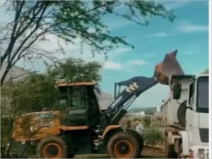 O Mutirão Caicó Limpa será realizado de forma contínua, contemplando gradativamente outros bairros do município.