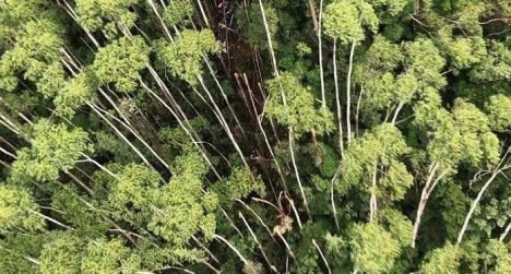 Capturar-35-1 Capturar 35