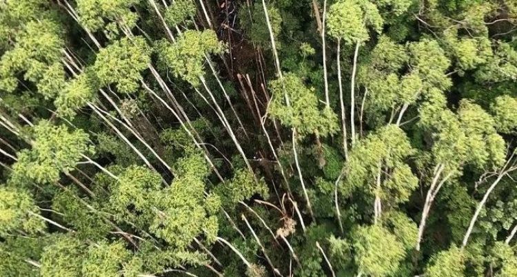 Capturar-35-1 Capturar 35