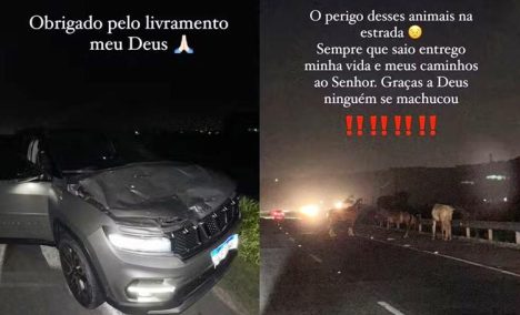 Imagens do carro e dos animais na pista foram divulgadas pelo cantor nas redes sociais