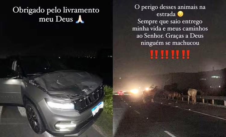 Imagens do carro e dos animais na pista foram divulgadas pelo cantor nas redes sociais