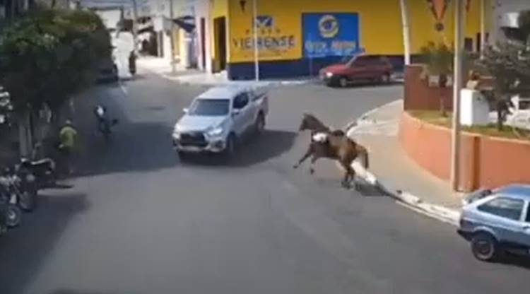 Cavalo em disparada acabou batendo no carro