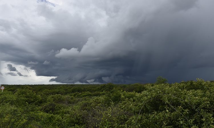 As chuvas ficaram dentro da normalidade ou acima das médias históricas em 107 municípios - (Foto: Arquivo ASSECOM/Elisa Elsie)