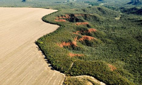 Brasília (DF) 29/02/2024 - Cerrado: cresce o desmatamento, aumenta o risco de colapso hídrico
Foto: Adriano Gambarini/WWF Brasil/Divulgação