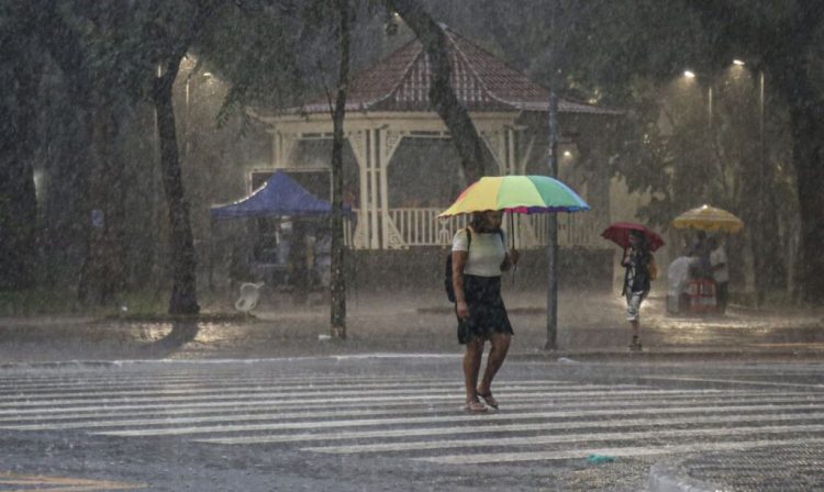 São Paulo-SP, 09/01/2024, Forte chuva atingiu a capital paulista na tarde desta terça-feira. Foto: Paulo Pinto/Agência Brasil