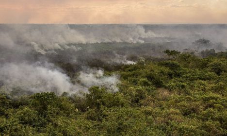 Corumbá (MS), 28/06/2024 - Focos de incêndio nos arredores de Corumbá-MS. Foto: Marcelo Camargo/Agência Brasil