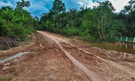 10/08/2023, Ambientalistas denunciam desmatamento às margens de rodovia amazônica. Foto: Cristie Sicsú