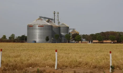 Balsas (MA), 09/10/2025 – Silos para armazenamento de grãos em fazenda de cultivo de soja vistos ao longo da rodovia MA-140. Foto: Fernando Frazão/Agência Brasil