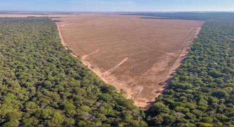 Desmatamento da Amazônia no estado de Mato Grosso • Paralaxis via Getty Images